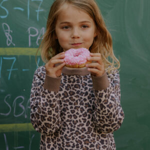 Fliink Pullover Benna Leo Pine Bark